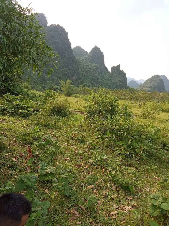 Đất nghỉ dưỡng Lương Sơn 7.000m² giá 9.8 tỷ - Nghỉ dưỡng lý tưởng!