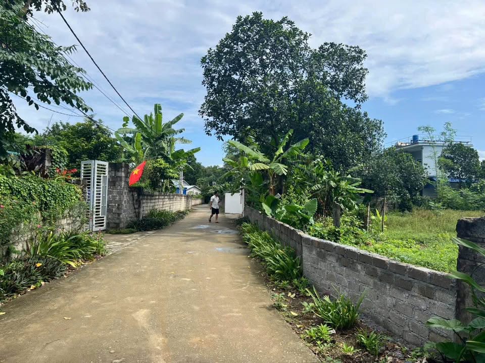 Đất nền 1000m² Liên Sơn, Lương Sơn - Giá tốt, Sẵn sàng giao dịch