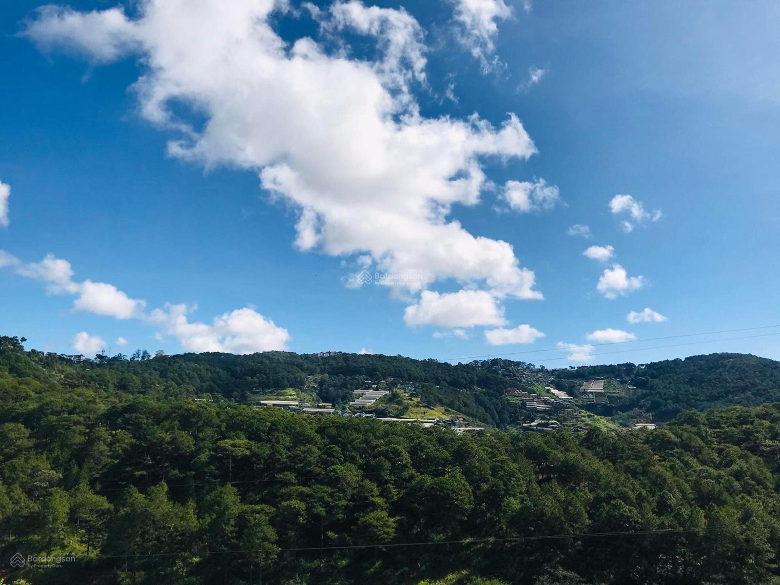 Homestay Đà Lạt 182m² - View Thung Lũng, 10PNKD, 8.8 Tỷ