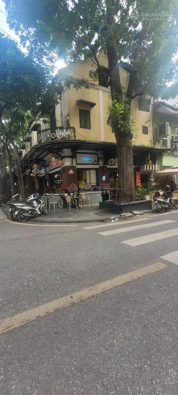 Cho thuê nhà mặt phố Giang Văn Minh, Ba Đình - 60m² x 7 tầng, kinh doanh đắc lợi