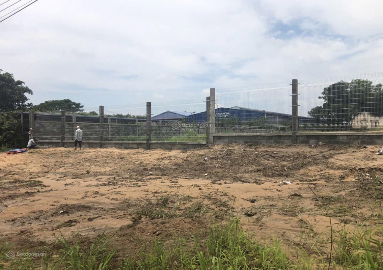 Cho thuê đất Nguyễn Văn Tạo Nhà Bè 6ha - Container thoải mái