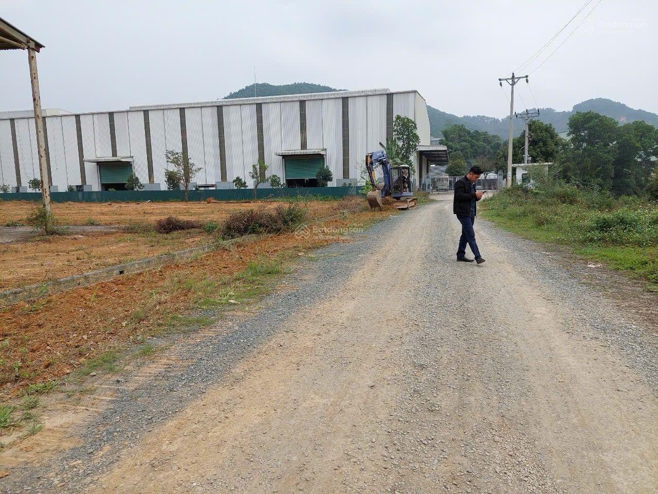 Cho thuê kho xưởng Yên Bình Thạch Thất 6000m² - Giá rẻ 35k/m²