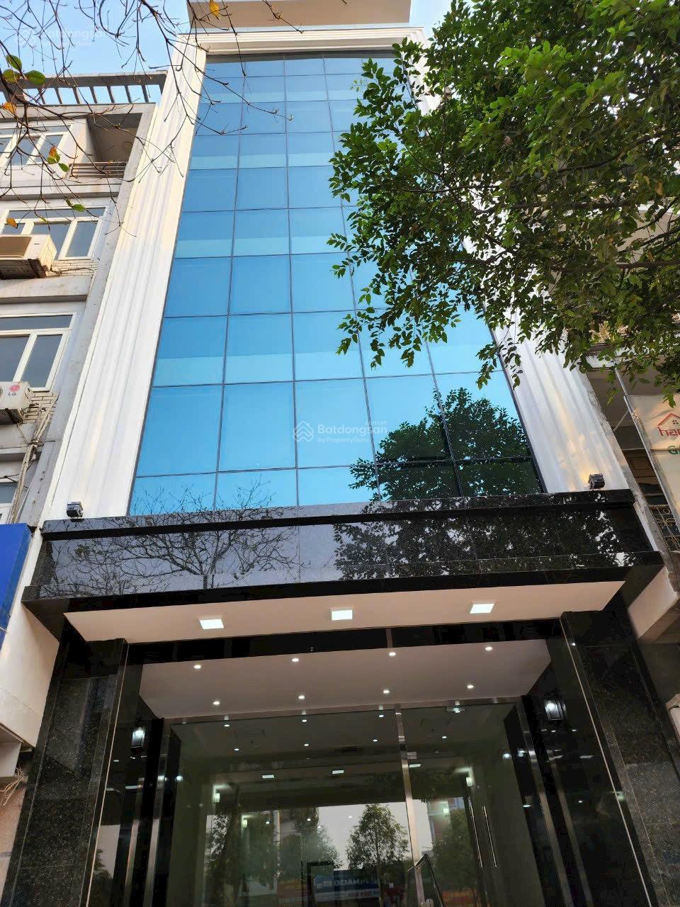 Cho thuê Nhà phố 7 tầng + hầm, 160m², MT 8m, Hồ Tùng Mậu, Cầu Giấy - Kinh doanh đắc lợi