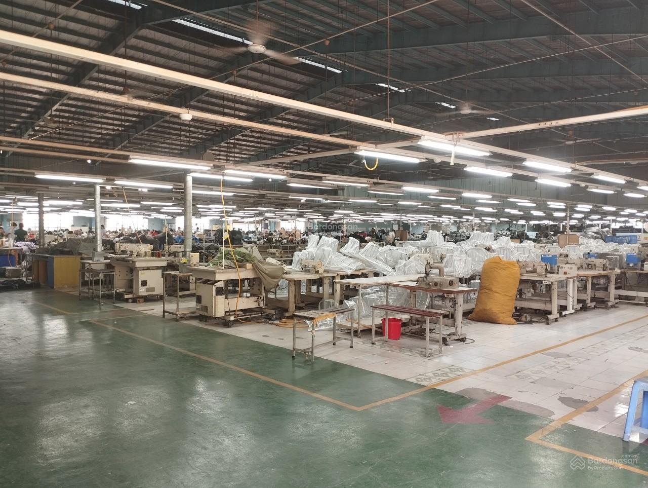 Cho thuê Xưởng 2200m² Thuận An - Nền Epoxy, PCCC nghiệm thu