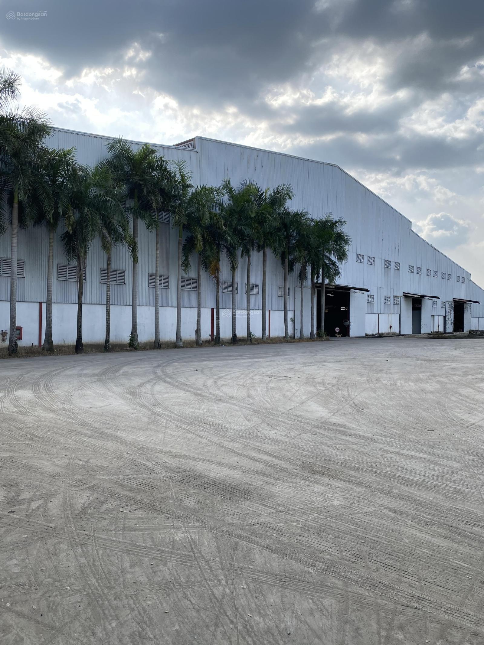 Thuê Kho Xưởng Thạnh Hóa Long An 10.000m² - Hoạt động ngay!
