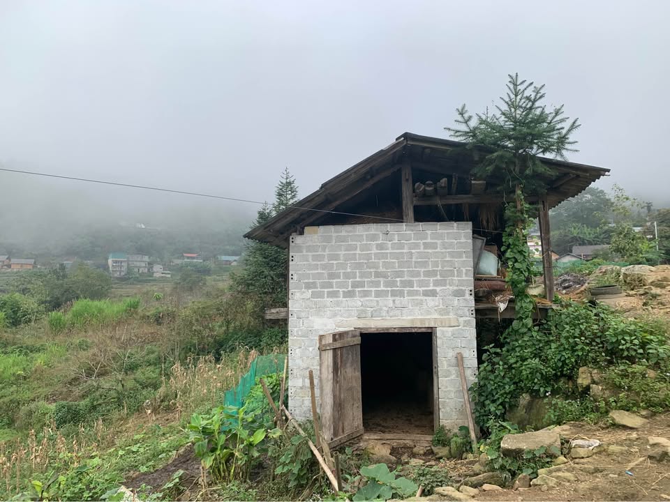 Đất Nền Y Tý, Bát Xát 400m² - Pháp Lý Rõ Ràng, Ô Tô Tận Nơi!