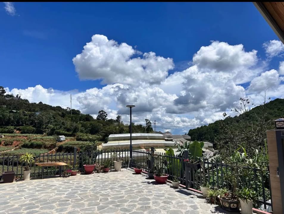 Mặt bằng góc 2 MT đường Hồ Xuân Hương, Đà Lạt - 300m², KD sầm uất