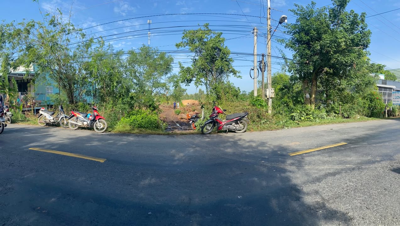 Bán đất Tam Nông Đồng Tháp 1650m² - Sổ đỏ chính chủ, tiềm năng cao!