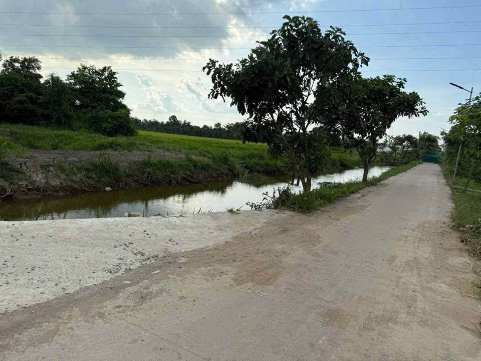 Đất nền Long An Bến Tre 137m² giá 700 triệu - Sổ đỏ chính chủ