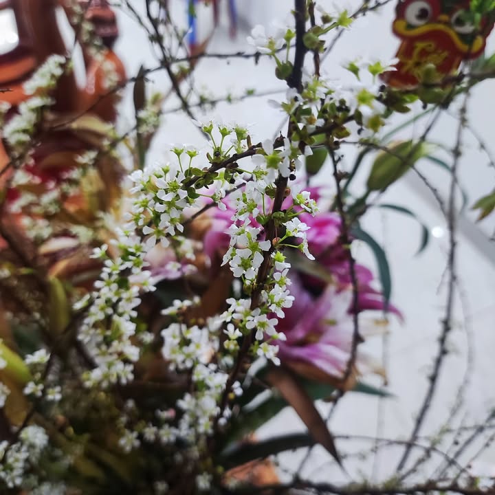 Lô đất Mộc Châu, Sơn La 300m² giá 1.75 tỷ - Sổ đỏ chính chủ