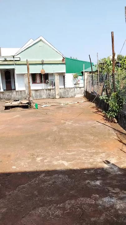 Bán gấp 8000m² đất mặt đường Ia Grai, Gia Lai - Có 600 cây cafe, 50 cây sầu riêng