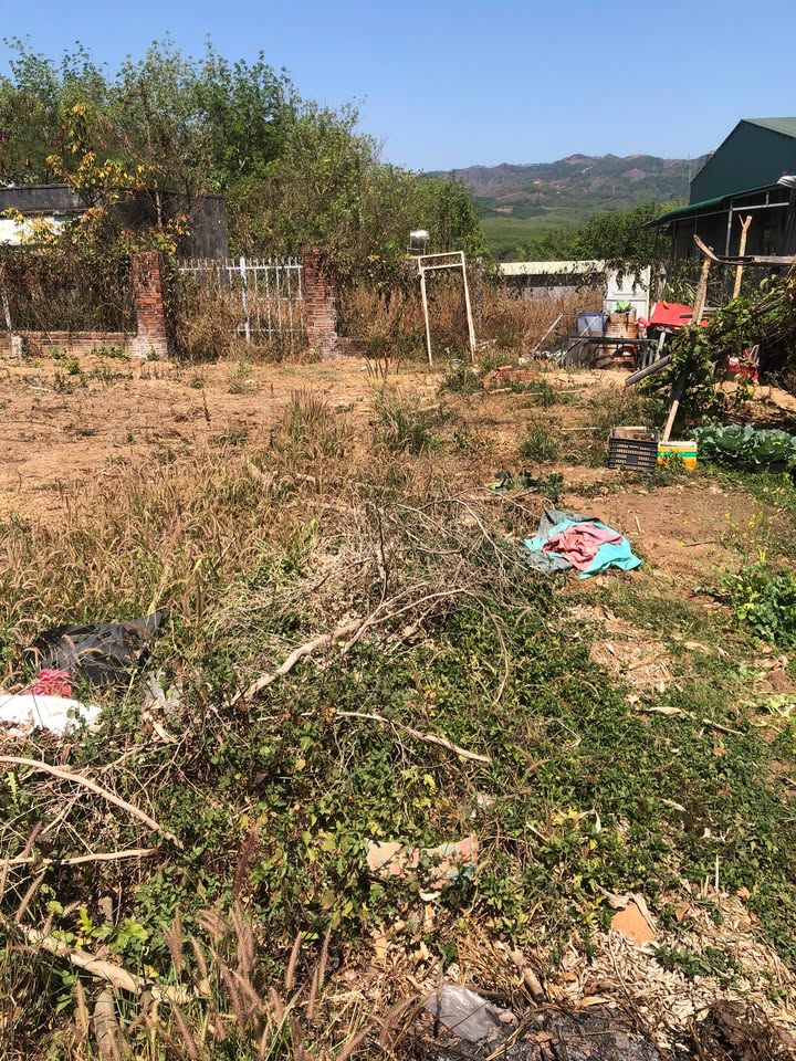 Đất Vàng Kon Tum: 620m² Mặt Tiền QL14, Đăk Tô - Sẵn Sổ Hồng, Giá Đầu Tư