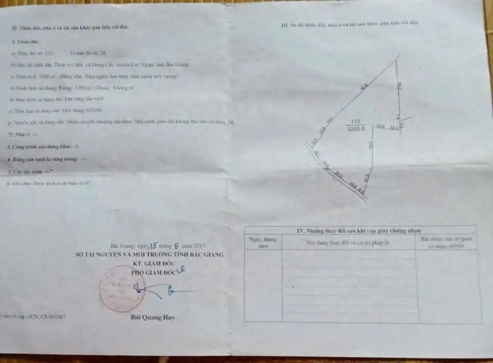 Đất Vườn Lục Ngạn 5000m² Giá 200 Triệu - Nghỉ Dưỡng Lý Tưởng View Sông!