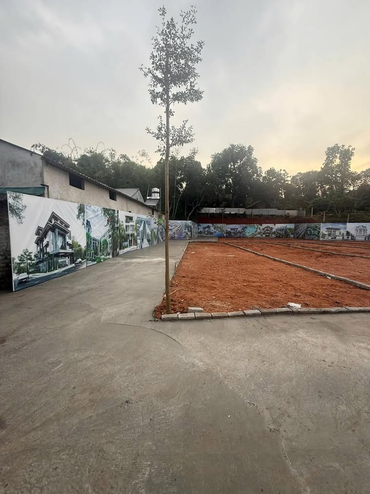 Bán Đất Góc 100m² Tân Yên, Bắc Giang - Chỉ Nhỉnh 500 Triệu, Sổ Đỏ Sẵn Sàng