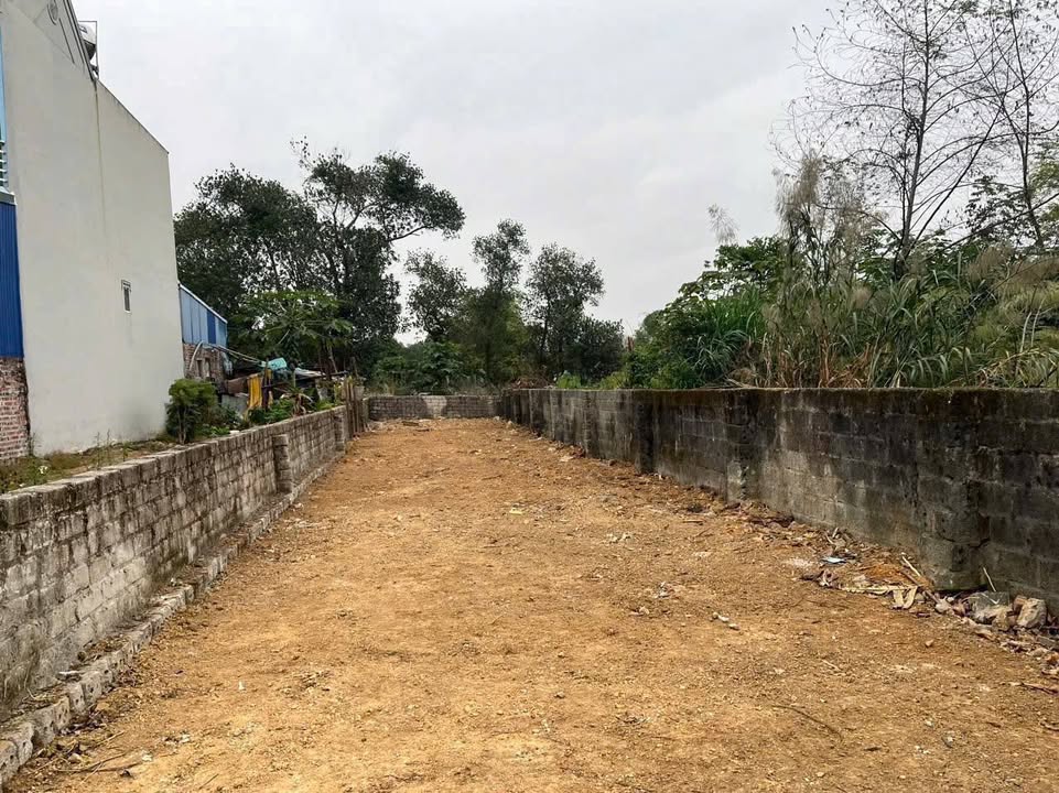 Bán Đất Thổ Cư 126m² Trục Chính Sen Trì, Mỹ Hào - Sổ Đỏ Vuông Vắn