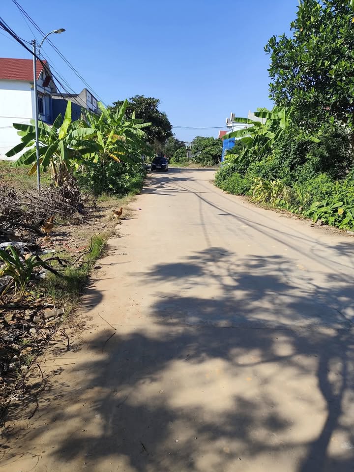 Bán Gấp Lô Vườn 1980m² Sổ Đỏ Chính Chủ Tại Lục Nam, Bắc Giang - Giá Thỏa Thuận