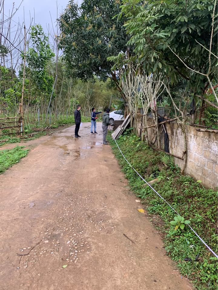 Bán Gấp Đất Vàng 1000m² Sổ Đỏ Chính Chủ Vị Xuyên, Hà Giang - Giá 450 Triệu