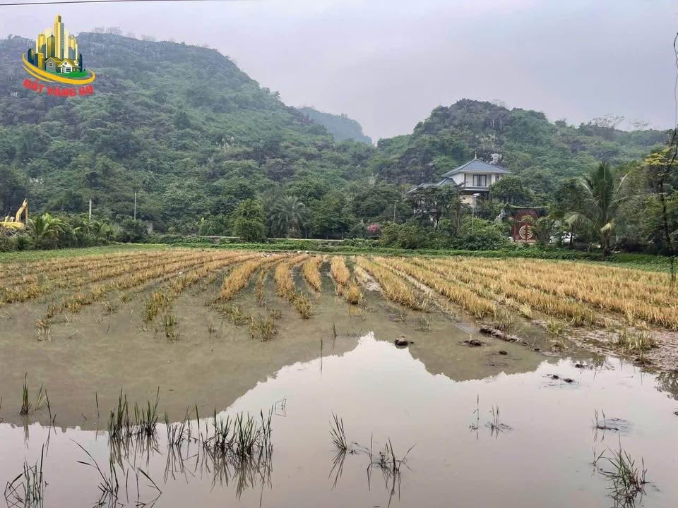 Đất Vườn 4000m² Ninh Hòa - View Sông Núi, Tiềm Năng Homestay 18 Tỷ