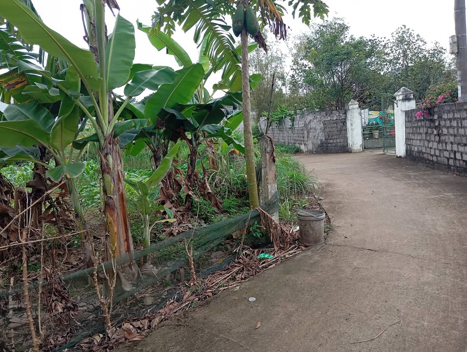 Đất nền Thôn Vĩnh Khương Tam Điệp 96m² - Sổ đỏ chính chủ!