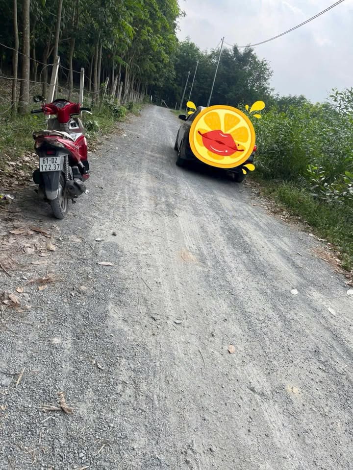 Đất Nền Hòa Lợi, Bến Cát 672m² - Sổ Sẵn, Giá Tốt