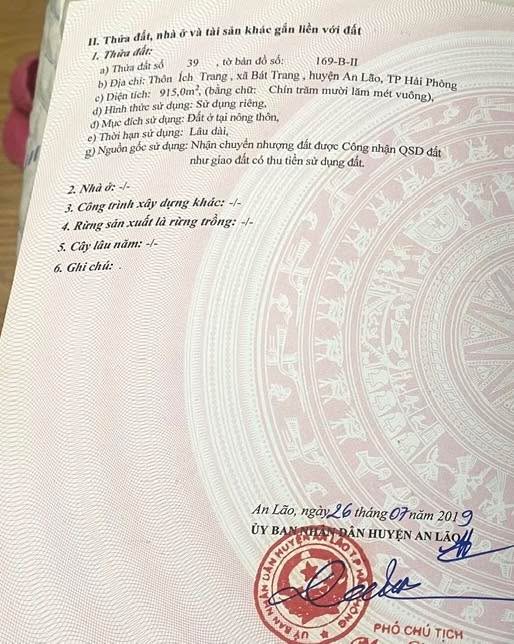 Đất nền Bát Trang An Lão 1000m² - Đầu tư dài hạn