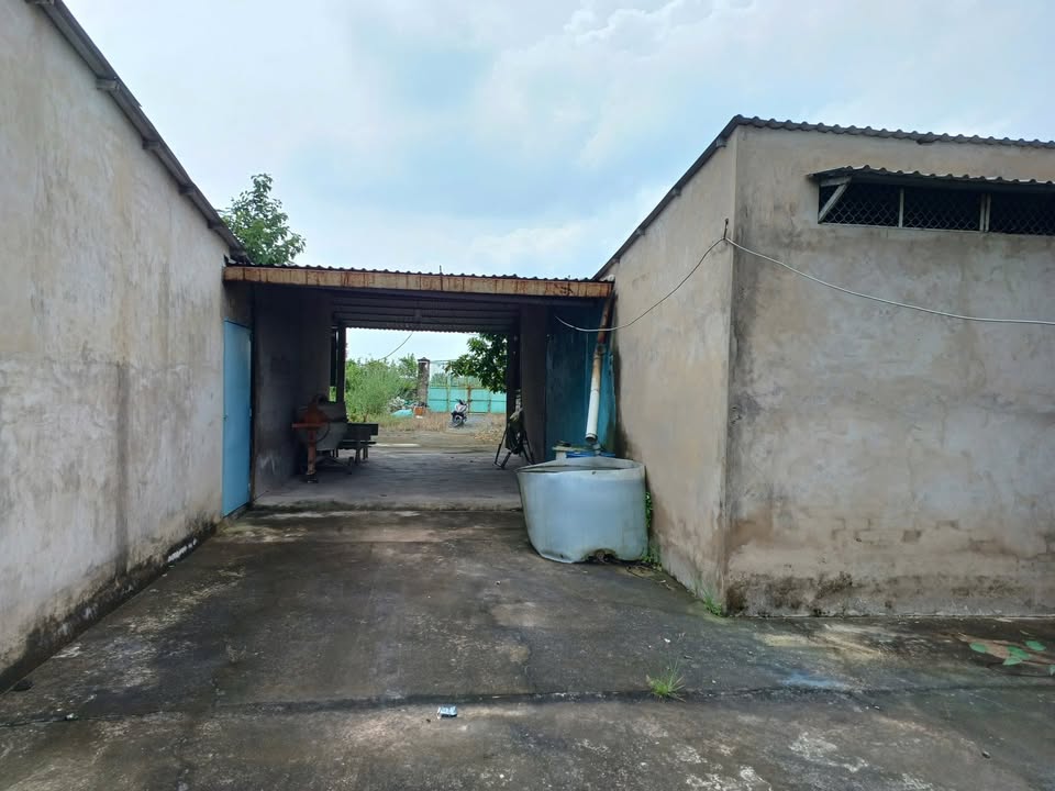 Đất Bình Lợi Bình Chánh 9.000m² - Sổ đỏ chính chủ