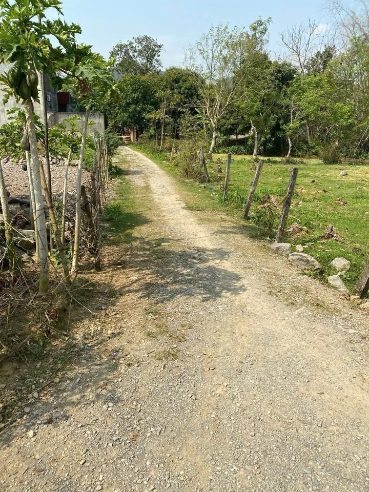 Đất nền Xã Lạc Vân 151m² giá 4xx triệu - Tiềm năng tăng giá!