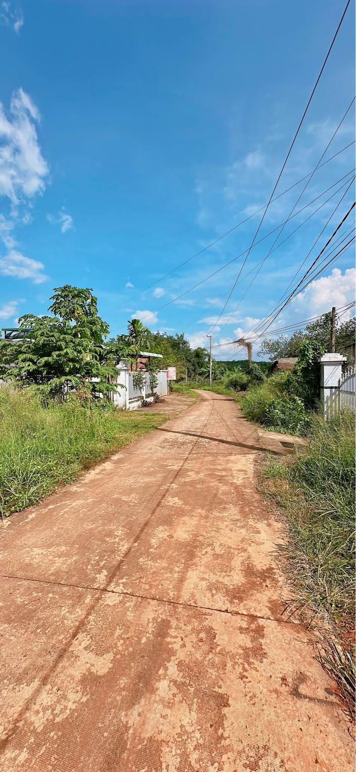 Đất nền Lộc Tấn, Bình Phước 5400m² - Sổ đỏ chính chủ