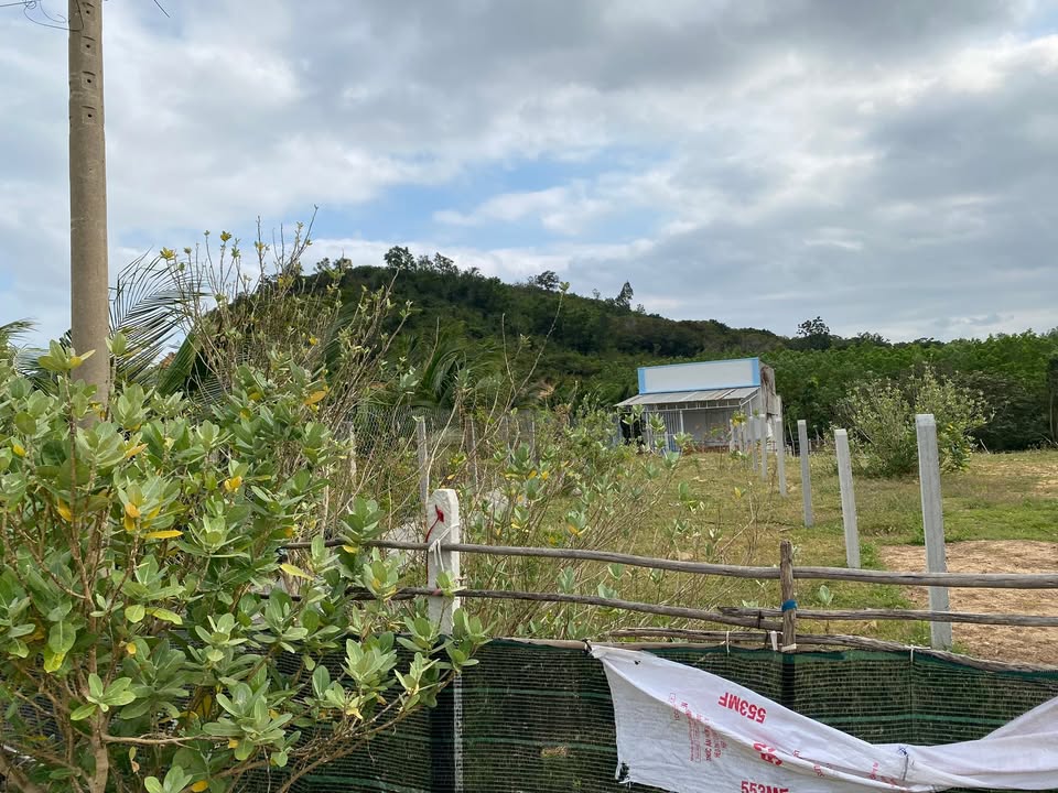 Đất nền Cam Ranh 155m² giá 300 triệu - Đường ô tô vào tận nơi!