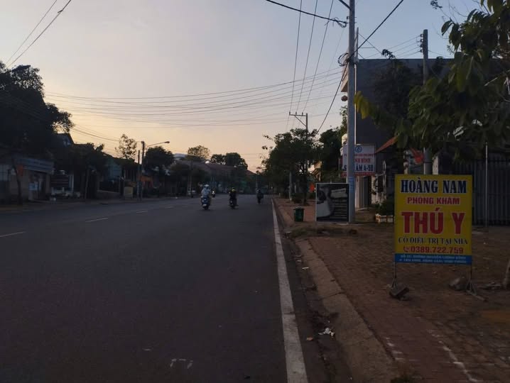 Đất Mặt Tiền Nguyễn Lương Bằng Đồng Xoài - Kinh Doanh Đắc Lợi 250m²