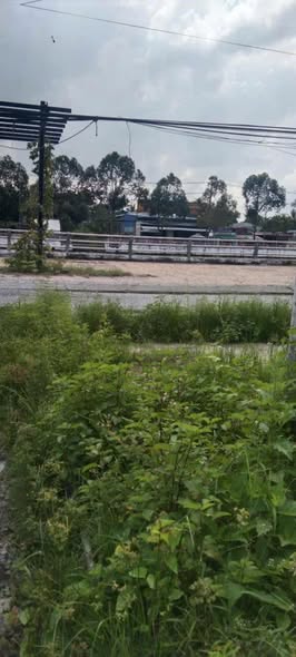 Mặt tiền Nguyễn Huệ, Vị Thanh - Đất 154m² tặng nhà, giá 660 triệu