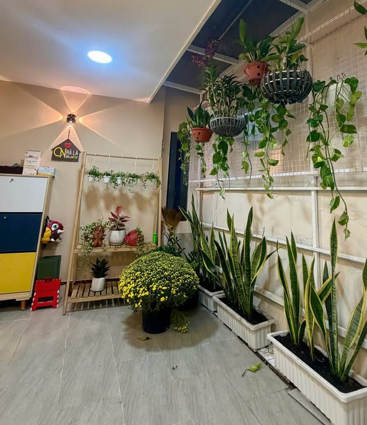 Nhà Đường Thống Nhất Gò Vấp 51m² giá 5.45 tỷ - Sẵn sàng ở ngay!