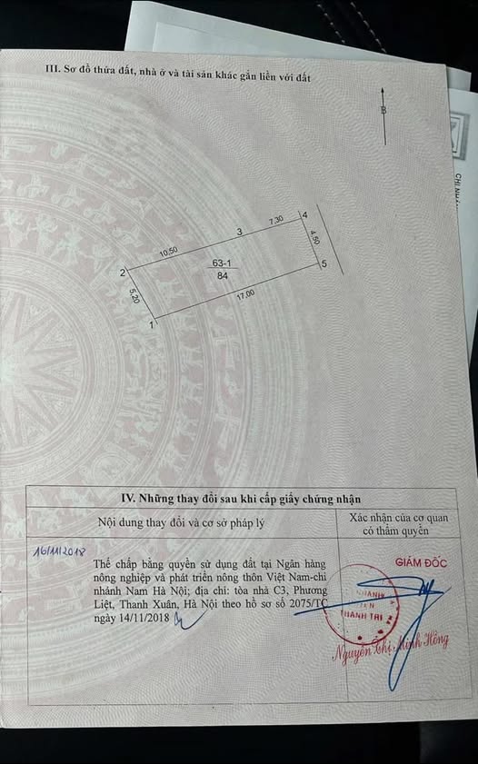 Nhà Cấp 4 Liên Ninh, Thanh Trì 84m² - Ngõ Ô Tô Sẵn Sàng Ở Ngay