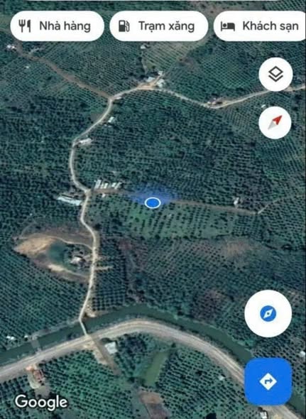 Farm Xoài 31.714m² Sông Lũy, Bình Thuận - Sẵn Sàng Thu Hoạch