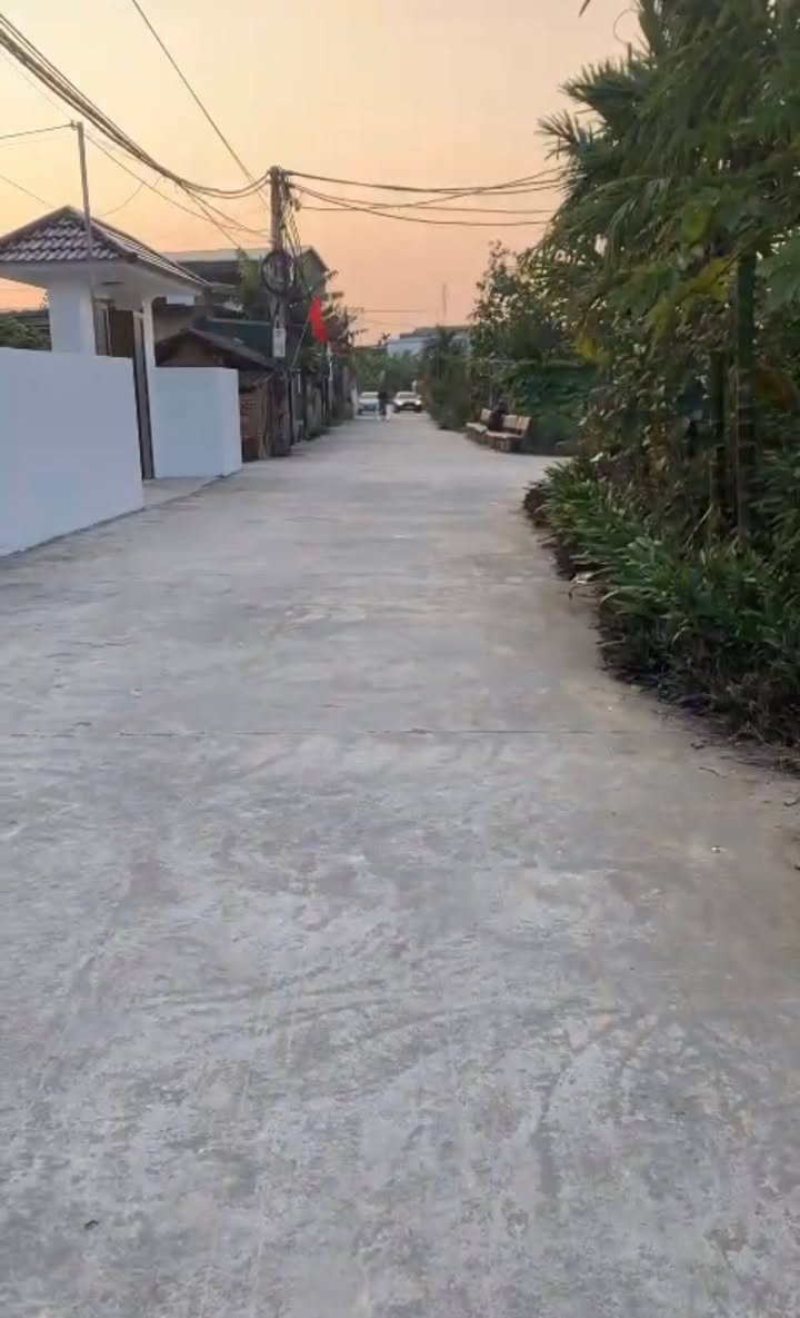 Đất Tứ Kỳ 98m² - Sổ Đỏ Rõ Ràng, Giá 1.2 Tỷ - Cơ Hội Đầu Tư Sinh Lời