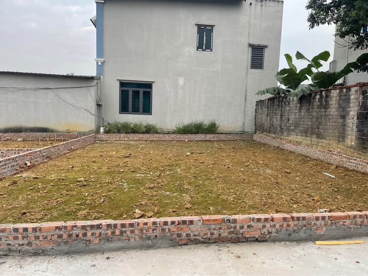 Đất nền Tiến Xuân 100m² giá 2.9 tỷ - Sổ đỏ chính chủ gần CNC Hòa Lạc