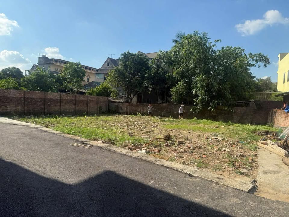 Đất nền Phường Thanh Miếu, Việt Trì 80m² - Sổ đỏ chính chủ