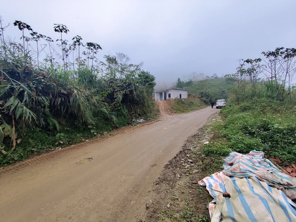 Đất Nền Tân Sơn, Phú Thọ 4000m² - Giá Chỉ 400 Triệu, Xe Container Vào Tận Nơi