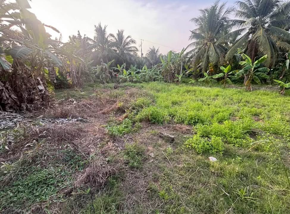 Đất Vĩnh Long 400m² - Gần Chợ, Trường Học, Giá 650 Triệu