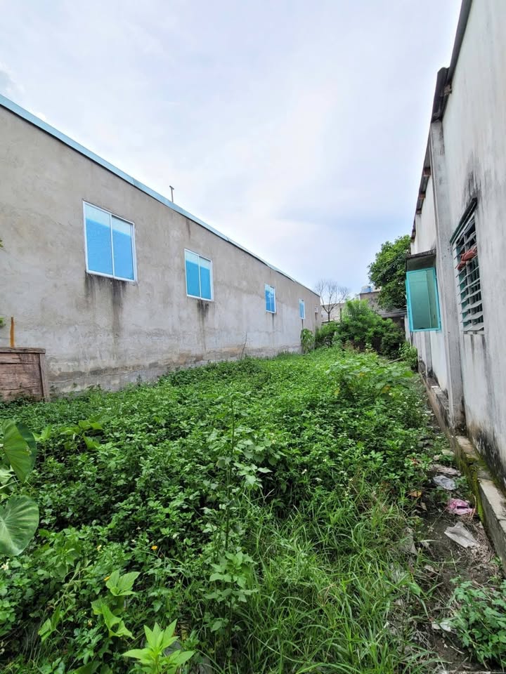 Bán Đất Thổ Cư 100m² Sổ Riêng - Gần Lê Thị Trung, Thuận An