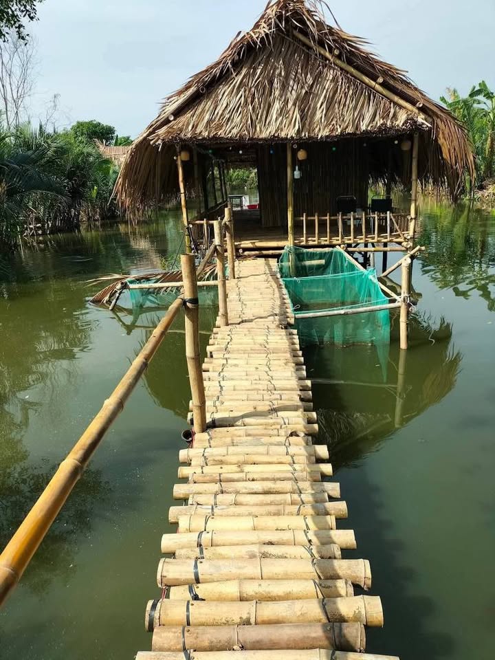 Nhà Vườn Trà Vinh 17325m² giá 2.2 tỷ - Sổ hồng rõ ràng!