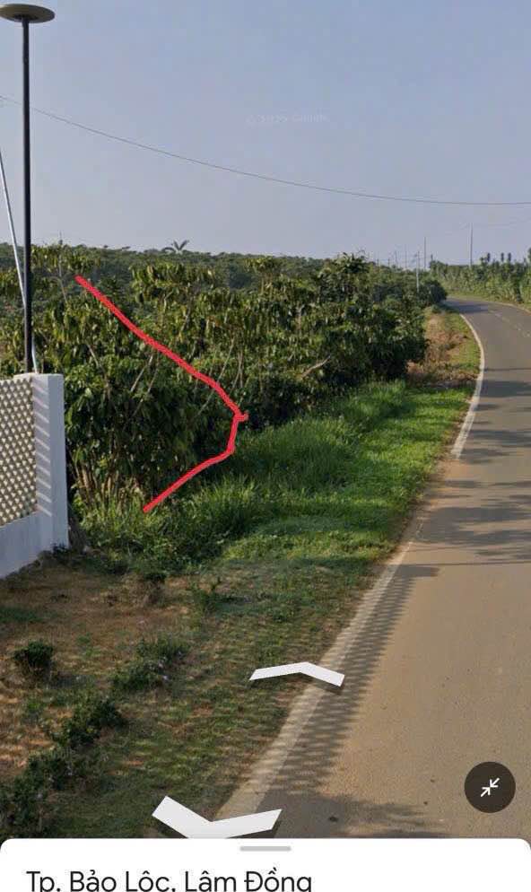 Đất Nền Mặt Tiền Đoàn Thị Điểm Bảo Lộc 100m² - Sổ Đỏ Chính Chủ, Tiềm Năng Vượt Trội!