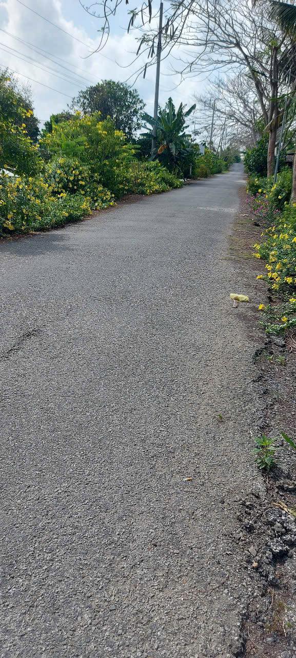 Đất vườn Trường Long Phong Điền 1385m² giá 2.2 tỷ - Nghỉ dưỡng lý tưởng!