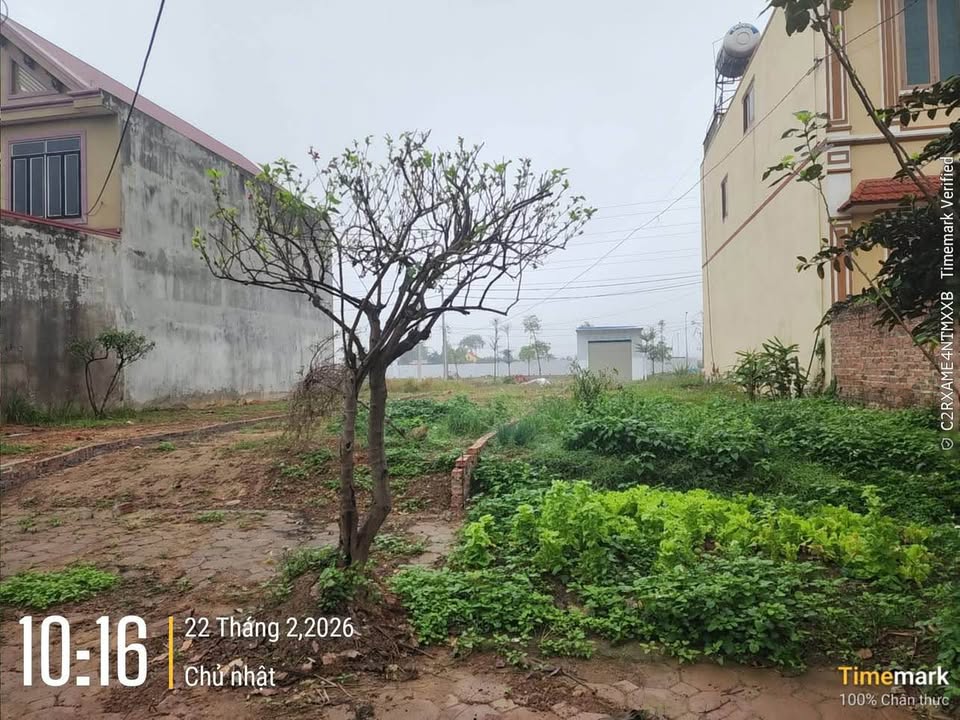 Đất nền TĐC Hồng Tiến Phổ Yên 100m² giá 2 tỷ - Sổ đỏ chính chủ!