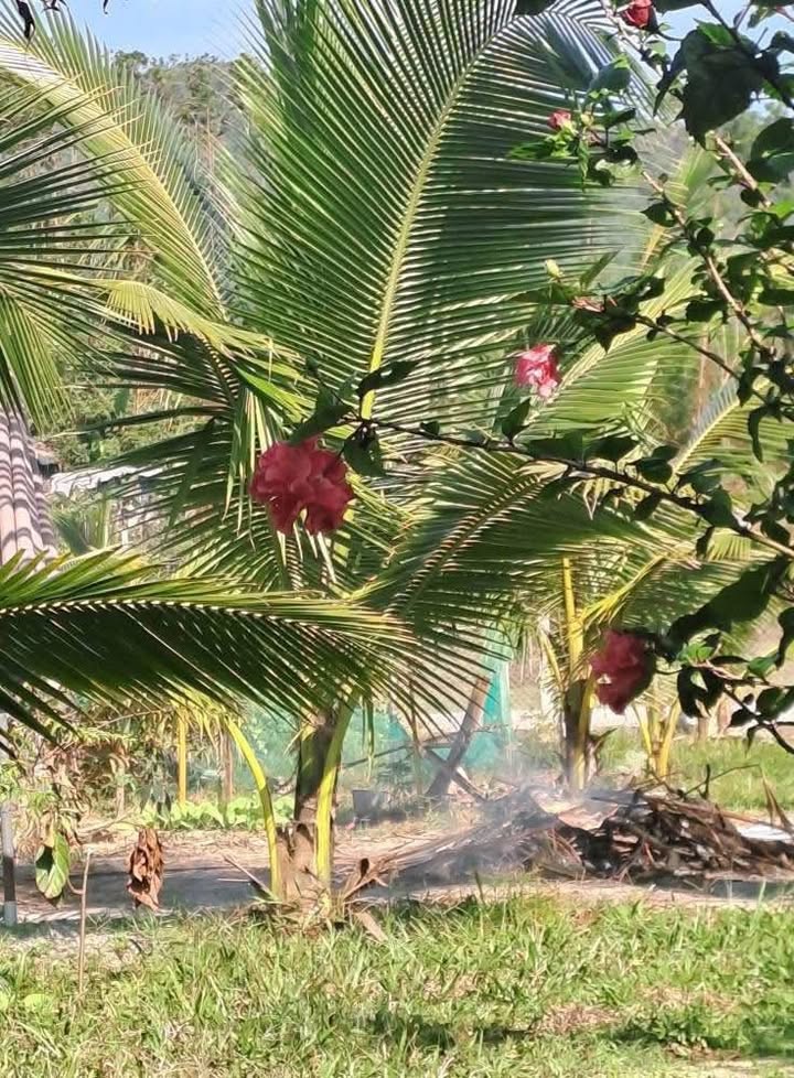 Đất Vườn 600m² Lô Góc Mặt Tiền Đường Nhựa - Quảng Nam