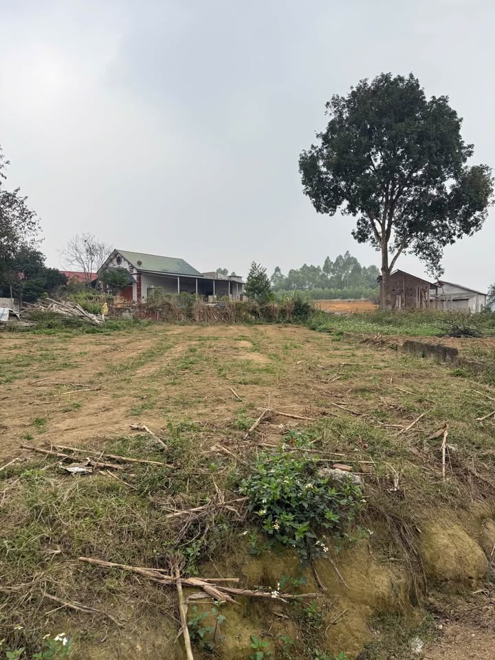 Đất nền Phú Thọ 117m² - Cổng Cụm CN Phú Hộ - Đầu tư sinh lời vượt trội!