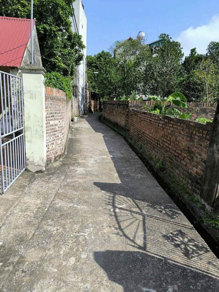 Bán đất 65m² Quán Khê, Gia Lâm - Vị trí đẹp, vuông vắn, giá 3 tỷ