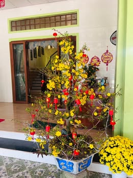 Đất nền Mộ Đức 200m² - Sổ đỏ thổ cư, giá chỉ hơn 200 triệu