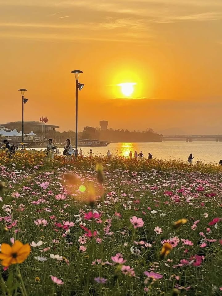 Đất nền 100m² Full Thổ Cư Kiệt 55 Vũ Ngọc Phan, Huế - Giá Đầu Tư 1.x Tỷ