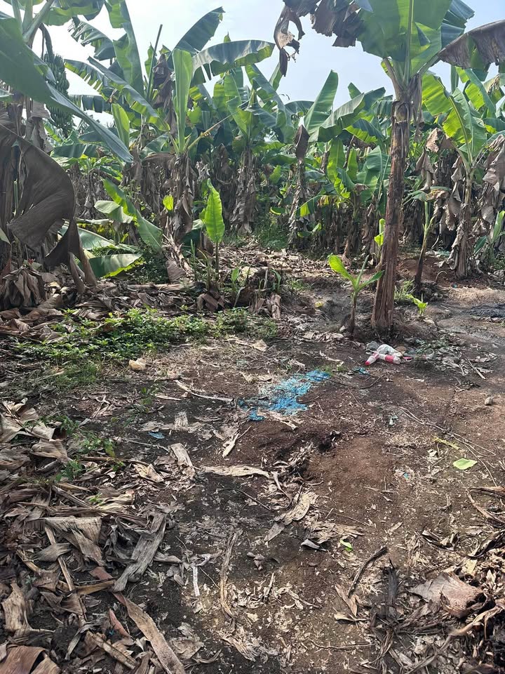 Đất nền Tân Phú Đồng Nai 1180m² giá 550 triệu - Sổ đỏ chính chủ